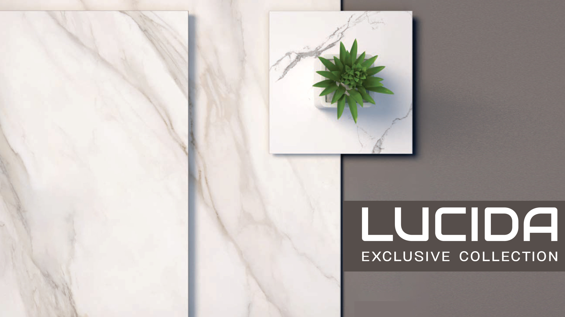 LUCIDA COLLECTION